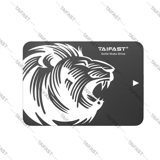 Taifast Hotsale 휴대용 SSD 120GB 240GB 480GB M.2 Ngff 솔리드 스테이트 드라이브(PC 노트북용) 5% 할인